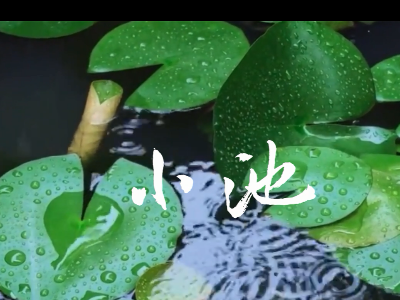 唱歌學(xué)古詩--《小池》