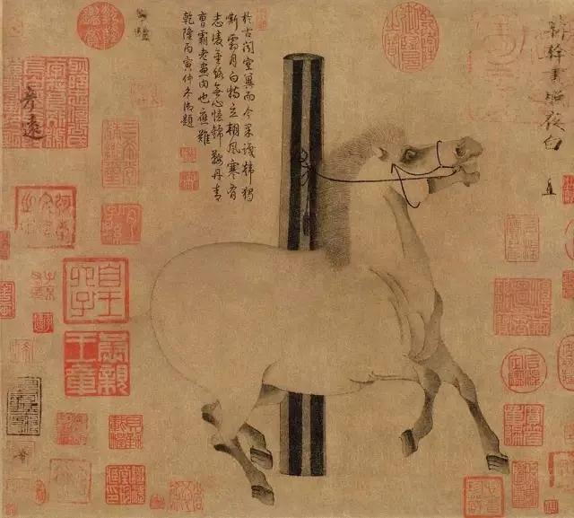 世紀(jì)視覺