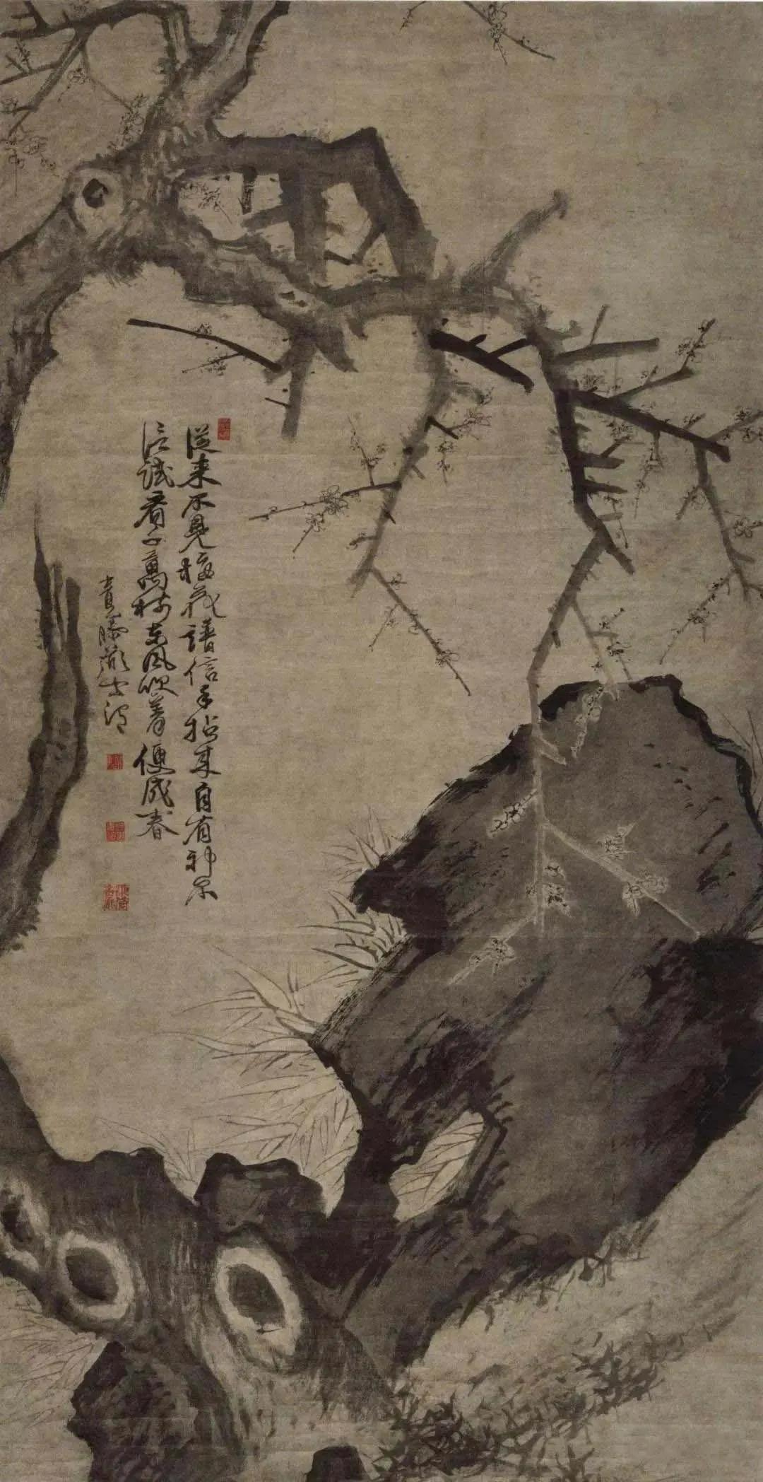 世紀(jì)視覺