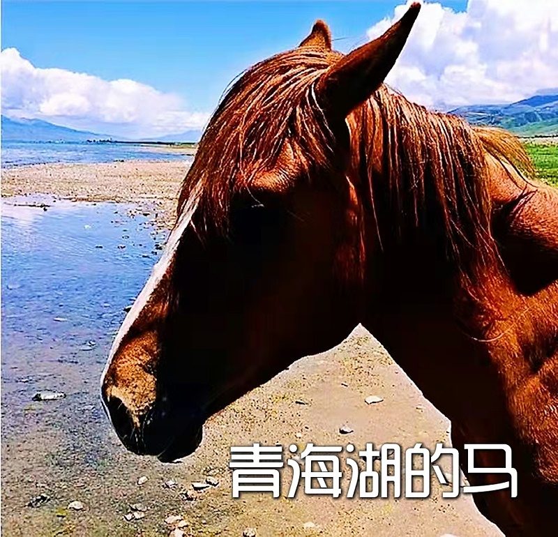微信圖片_20220329100855