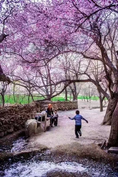 微信圖片_20230403115503