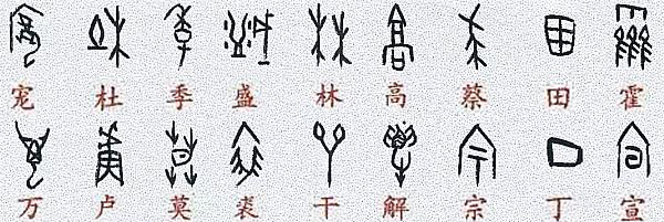 世紀(jì)視覺(jué)