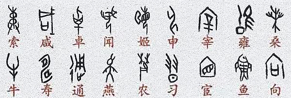 世紀(jì)視覺(jué)