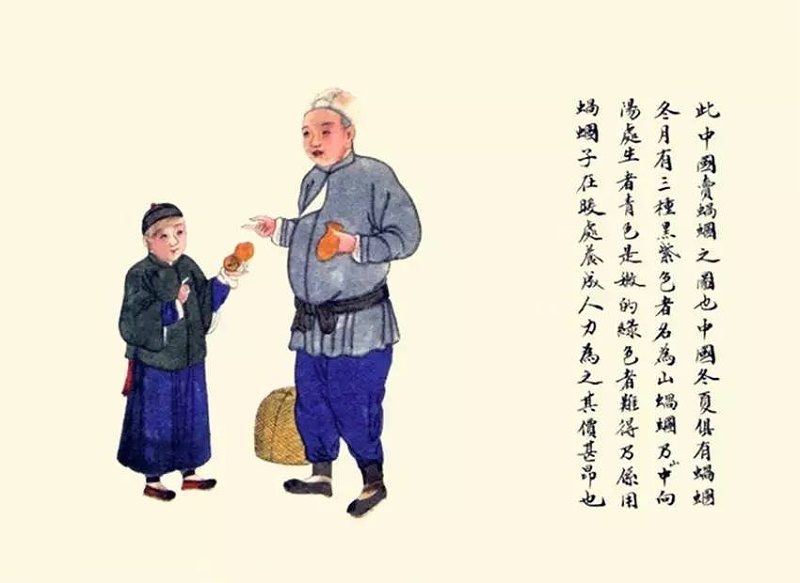 賣(mài)蟈蟈圖