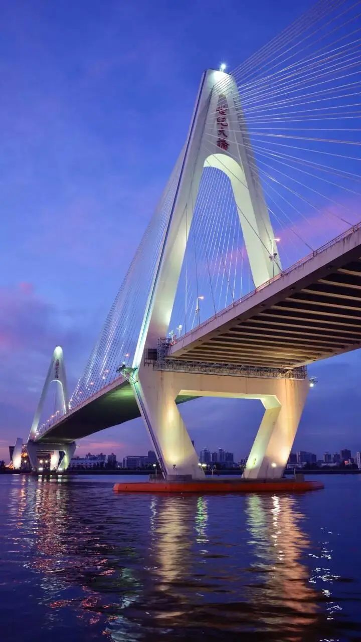 海口世紀(jì)大橋2